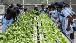 Dolan Kebun, Cara Seru Siswa Semarang Belajar Pertanian Sejak Dini