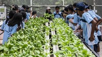 Para siswa diajak untuk menanam, merawat, hingga memanen aneka sayuran dan buah-buahan. ANTARA FOTO/Aprillio Akbar