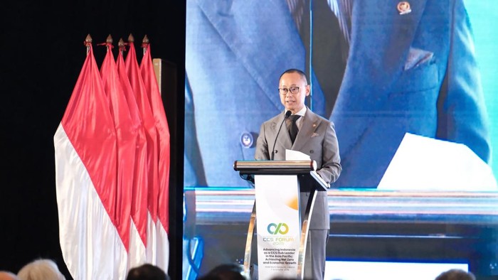 Eddy Soeparno Ungkap Pengembangan CCS Sejalan dengan Komitmen NZE Prabowo