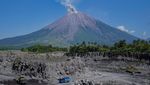 Gunung Semeru Erupsi, Semburkan Abu Vulkanik Setinggi 700 Meter