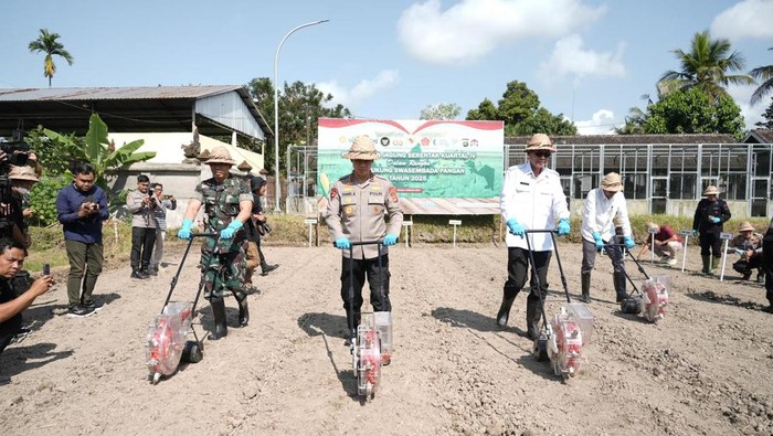 Kapolda Bali, Irjen Daniel Adityajaya, menanam jagung Desa Pejeng, Kecamatan Tampaksiring, Gianyar, Rabu (8/10/2025). (Dok. Polda Bali)