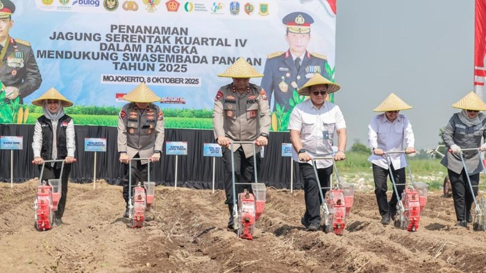 Kapolda Jatim tanam jagung di Mojokerto