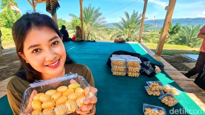 Kebun kurma di Kampung Cidahon Girang, Kabupaten Sukabumi.
