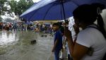 Lomba Kura-Kura Lukis di Venezuela Gaungkan Cinta Alam