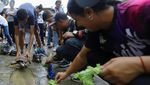 Lomba Kura-Kura Lukis di Venezuela Gaungkan Cinta Alam