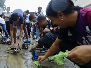 Ada Tradisi Balap Kura-kura di Venezuela, Begini Momennya
