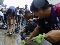 Ada Tradisi Balap Kura-kura di Venezuela, Begini Momennya