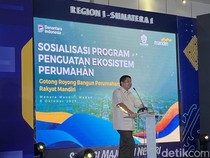 Pengembang Curhat Biaya Konsultan PBG di Sumut Mahal, Begini Respons Maruarar