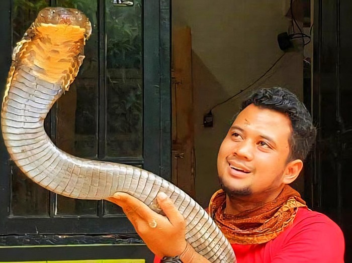 Panji Petualang dan ular peliharaannya