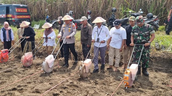 Penanaman jagung dukung swasembada pangan di lingkup Polres Malang