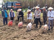Polres Malang Tanam Jagung Serentak Dukung Ketahanan Pangan