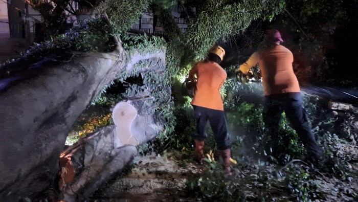 Pohon tumbang di Tasikmalaya.