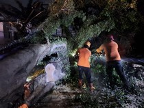 Desakan Wabup Tasik soal Penanganan Pohon Tumbang di Jalur Nasional