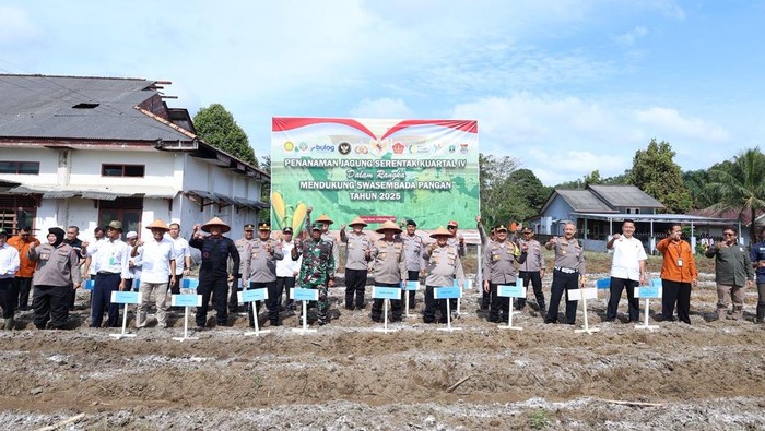 Polda Babel Gelar Penanaman Jagung Serentak Kuartal IV.