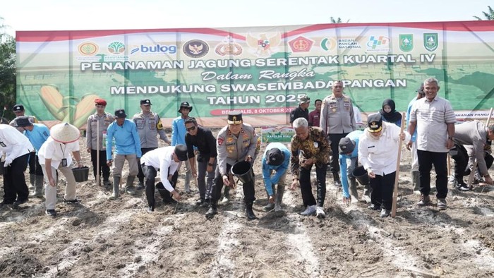 Polda Riau menggelar penanaman jagung secara serentak di Kabupaten Bengkalis. Kegiatan ini dipimpin langsung oleh Kapolda Irjen Herry Heryawan.