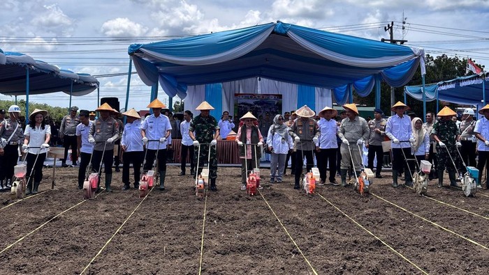 Polda Sumsel menggelar tanam jagung di Jalan Sepucuk Kelurahan Kedaton, Kecamatan Kayuagung, Kabupaten Ogan Komering Ilir.