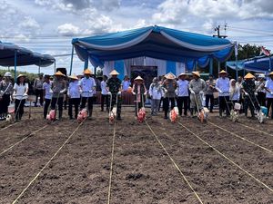4.452 Ton Jagung dari Petani Sumsel dan Babel Diserap Bulog