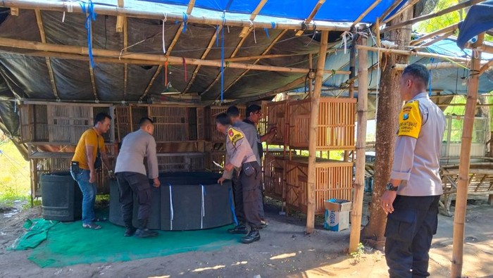 Polres Nganjuk grebek area yang diduga dipakai judi ayam