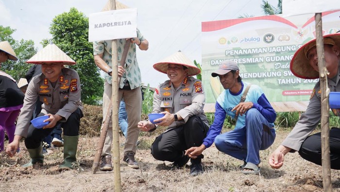Polresta Pekanbaru melakukan penanaman jagung serentak kuartal IV di lahan seluas 1 hektare, Rabu (8/10/2025).