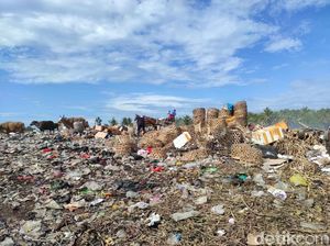 Warga Gili Trawangan Desak Pemprov NTB Anggarkan Mesin Pencacah Sampah
