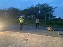 Dua Motor Adu Kambing di Muara Enim, 1 Tewas-1 Luka Berat