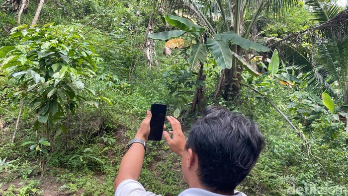 Sejumlah warga yang sedang mencari sinyal nongkrong di jembatan Purbahayu