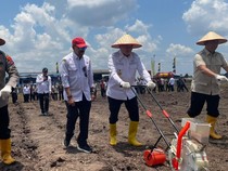 Kalsel Jadi Percontohan Daerah Pemanfaatan Lahan Tak Produktif