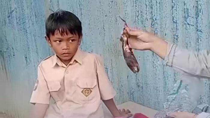 Siswa SD di Gowa membawa bekal ubi bakar ke sekolah karena tidak punya uang jajan.
