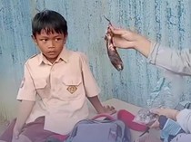 Viral Siswa SD di Gowa Bawa Bekal Ubi Bakar karena Tak Punya Uang Jajan