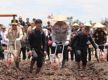 Asa Menanam Jagung di 136 Hektare Lahan Kalteng