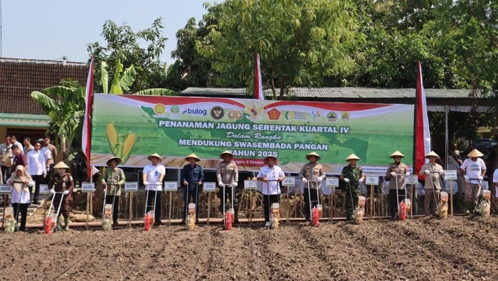 Wakapolda Jateng, Brigjen Latif Usman, saat memimpin kegiatan tanam jagung serentak kuartal IV 2025 di lahan pertanian seluas 2,7 hektare di Dukuh Pilangrejo, Desa Puro, Kecamatan Karangmalang, Kabupaten Sragen.