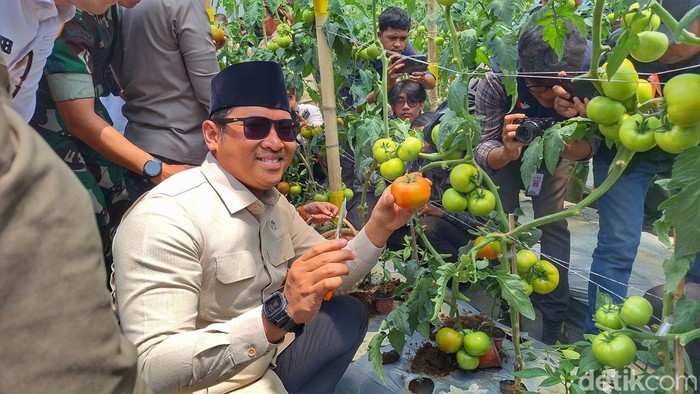 Wakil Menteri Pertanian (Wamentan), Sudaryono, saat melakukan peninjauan ke area perkebunan di Kecamatan Rancabali, Kabupaten Bandung, Rabu (8/10/2025).