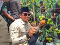 Wamentan Minta Daerah Lain Duplikasi Pertanian di Ponpes Al Ittifaq