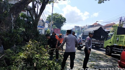Petugas membersihkan cabang pohon yang patah akibat dihantam truk tronton di Jalan By Pass Ir. Soekarno di depan RS Puri Bunda, Kecamatan Kediri, Tabanan, Kamis (9/10/2025).