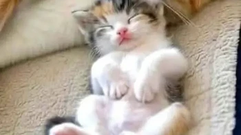 Ini ibu dan anak lagi quality time. Foto: Yurida Mei via Bored Panda