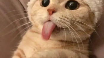 Wleee. Foto: Adira Fatiha Azzahra via Bored Panda