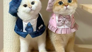 Otw Paris. Foto: Idayyadi via Bored Panda