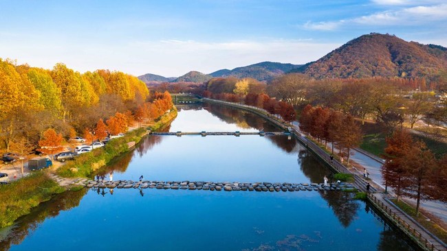 5 Hutan Ngetop di Korea yang Wajib Dikunjungi saat Musim Gugur