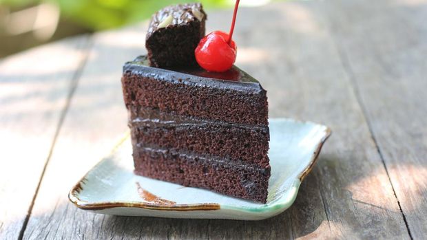 Ilustrasi black forest Ilustrasi black forest