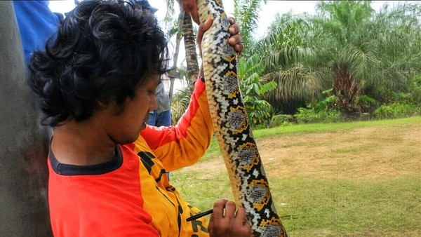 Chiroyli qinni yalaydi Rus pornosi: qizning osilgan kokraklari