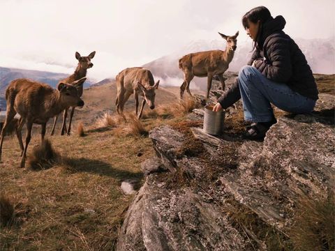 Pasangan pengantin ini memutuskan untuk menikah di KUA dan pergi bulan madu ke New Zealand. Postingan tersebut langsung viral di media sosial.