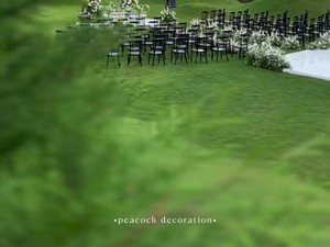 Viral Dekorasi Nikah American Style Estetis, Jadi Incaran Pengantin Gen Z