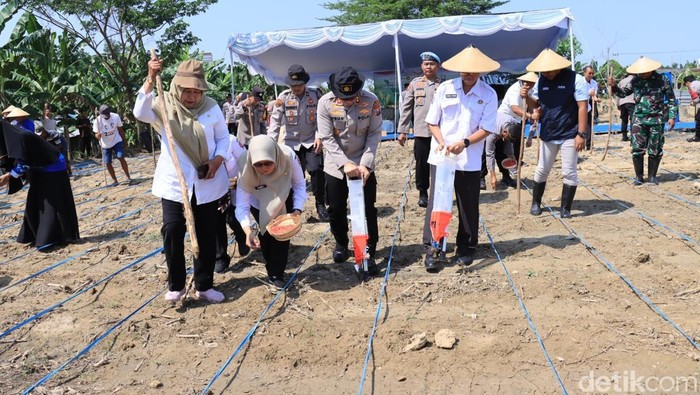 Penanaman jagung di wilayah Polres Bojonegoro