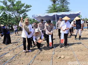 Polres Bojonegoro Dukung Program Asta Cita Lewat Tanam Jagung