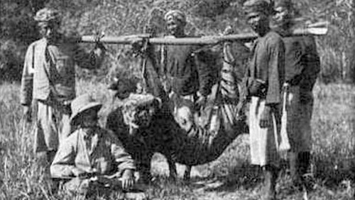Perburuan harimau bali di masa lalu. (Wikipedia/Oskar Vojnich)