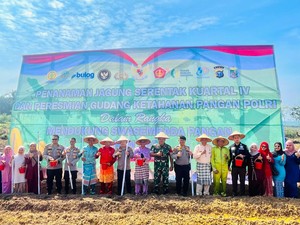 2 Ha Lahan di Pelalawan Ditanami Jagung, Polisi Dukung Swasembada Pangan