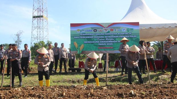 Polres Rohul melakukan penanaman jagung serentak kuartal IV tahun 2025, pada Rabu (8/10/2025) dalam rangka mendukung ketahanan pangan.