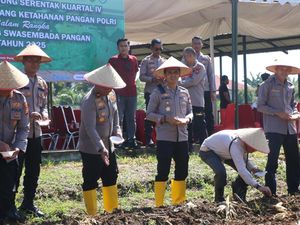 20,5 Hektare Lahan di Rohul Mulai Ditanami Jagung Dukung Ketahanan Pangan