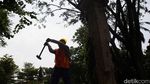 Proyek Taman Bendera Pusaka di Jaksel Terus Dikebut