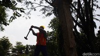 Proyek ini menjadi langkah besar dalam revitalisasi ruang hijau ibu kota sekaligus upaya menciptakan ruang publik yang lebih inklusif dan berkelanjutan.